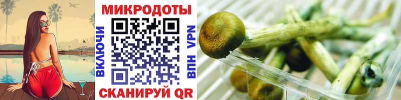 цена   Вичуга  Галлюциногенные грибы мухоморы 