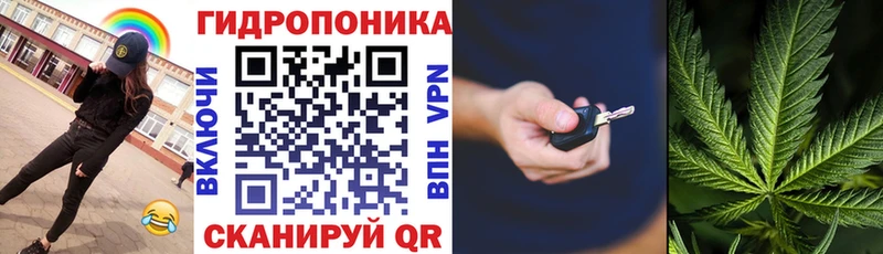 Шишки марихуана планчик  Вичуга 